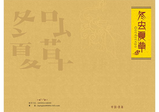 &#24320;&#20113;&#32593;&#39029;&#29256;&#45;&#24320;&#20113;&#40;&#20013;&#22269;&#41;