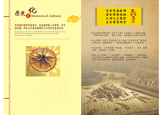 &#24320;&#20113;&#32593;&#39029;&#29256;&#45;&#24320;&#20113;&#40;&#20013;&#22269;&#41;