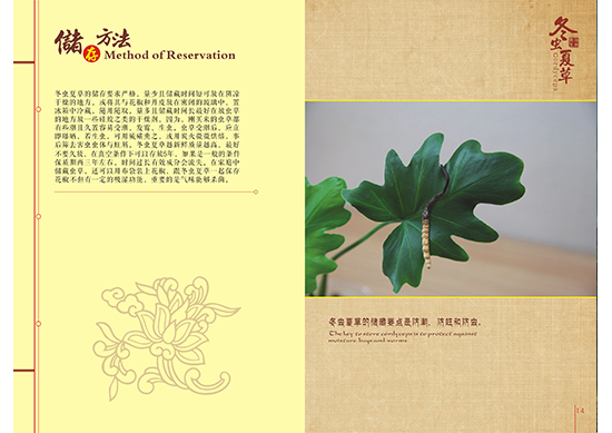 &#24320;&#20113;&#32593;&#39029;&#29256;&#45;&#24320;&#20113;&#40;&#20013;&#22269;&#41;